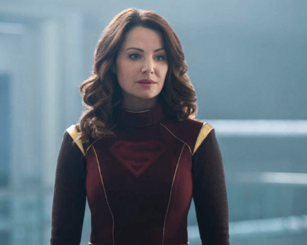 Erica Durance Net Worth